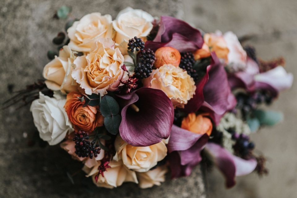 Plum colours lead the way for Anne!